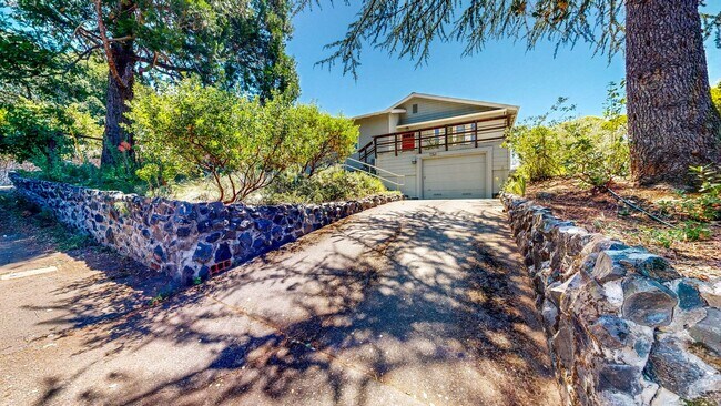 Photo - Beautiful Two Bedroom One Bath Close to Spring Lake & Annadel State Park