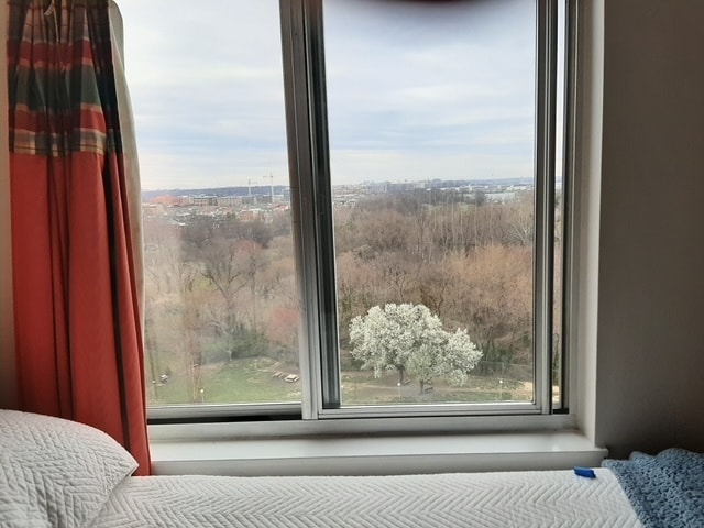 DC skyline ; Capitol; Washington and Jefferson Monuments ; 4th July fireworks visible - 501 Slaters Ln Unit 1013