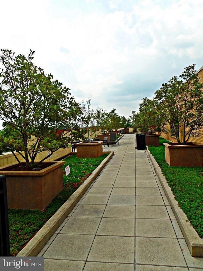 Photo - 525 N Fayette St Unit 421