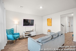 Photo - 15311 Olive Pigeon