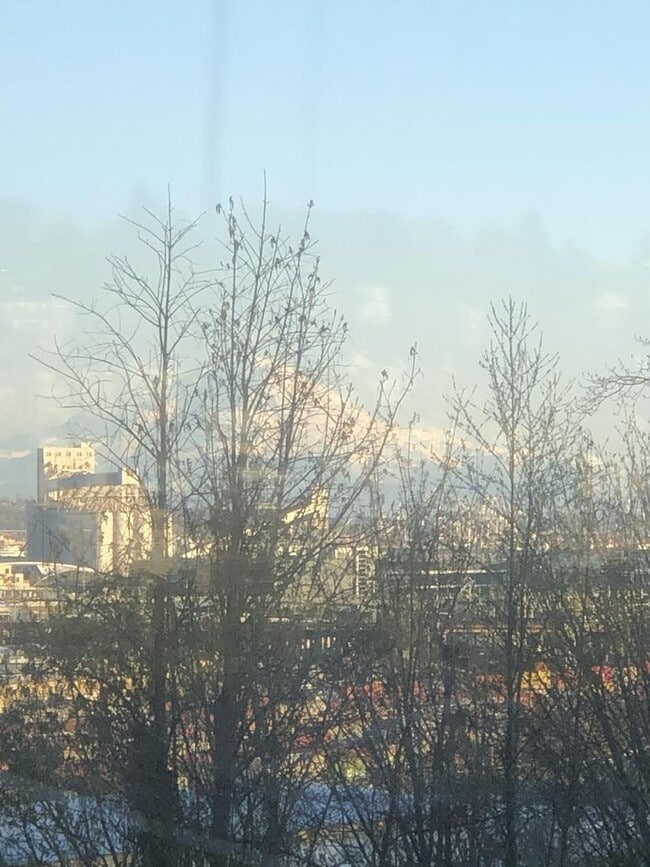 Photo - Magnolia Court