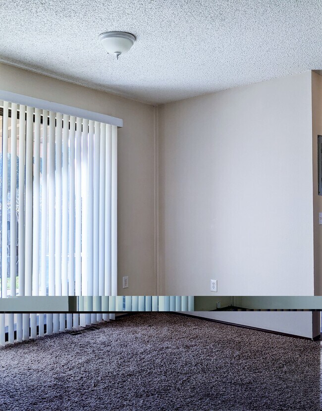 1005 5th St Unit 3