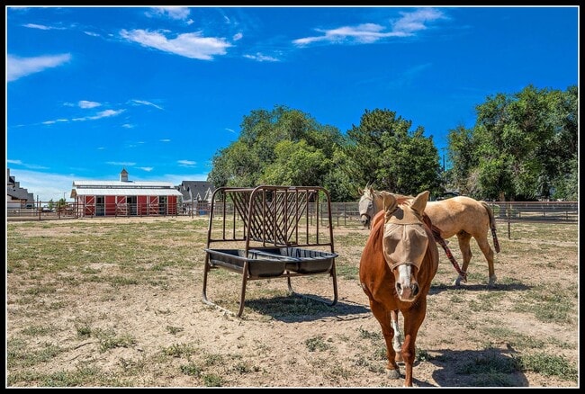Photo - 3 Acre Horse Ranch & Home Rental SE Boise Available Near Micron in May 2026
