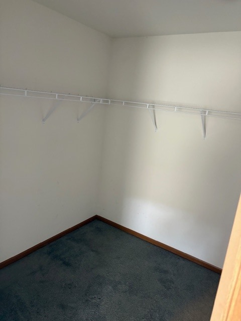 Photo - 209 River Laurel Dr