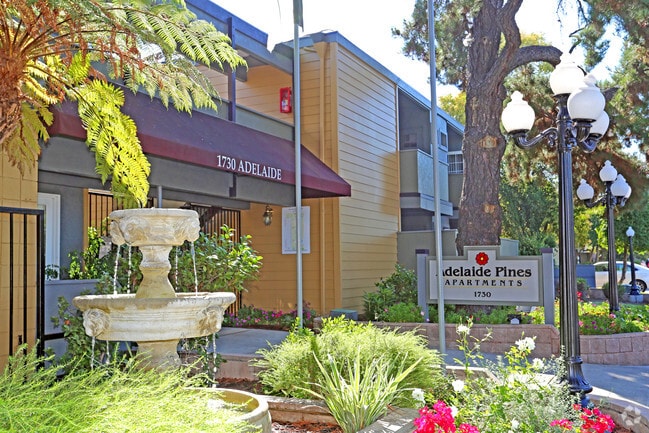 Photo - Adelaide Pines