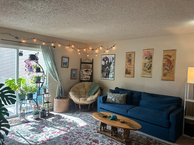 Living Room - 1900 Florida Rd Unit C3