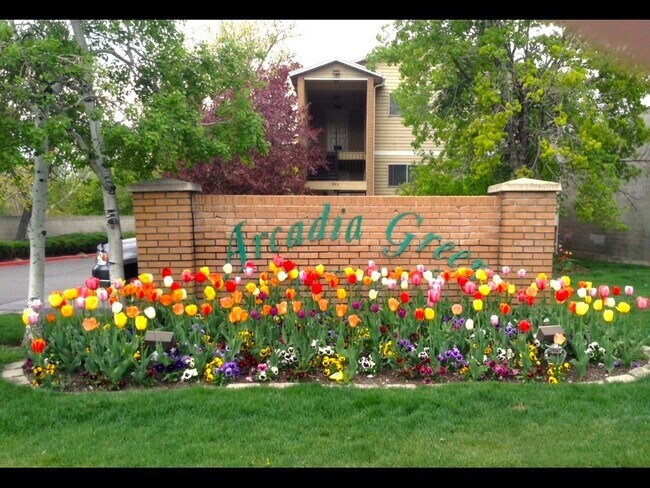 Arcadia Green Apartments - Arcadia Green Apartments