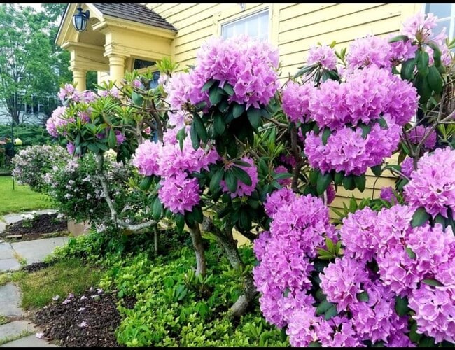 Photo - 18 Town House Rd Unit 18A