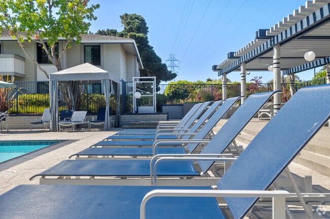 Pool Lounge chairs