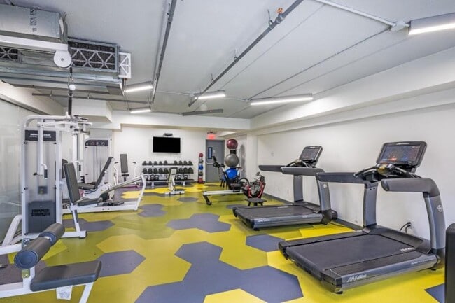 Photo - 5 bedroom in BRONX NY 10458 Unit 4A