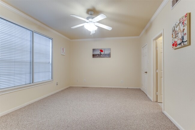 Building Photo - 2255 Braeswood Park Dr Unit 235