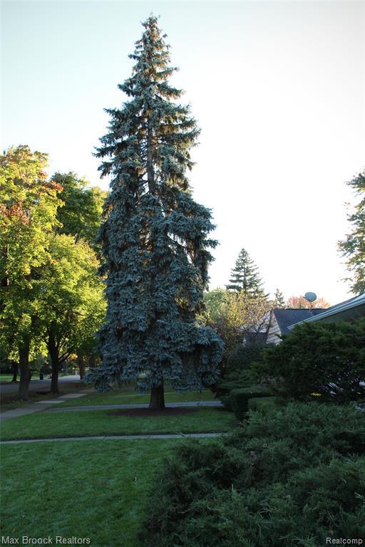 Photo - 32349 Sheridan Dr