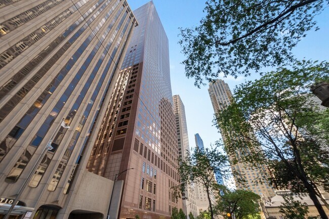 Photo - 161 E Chicago Ave Condo Unit 55G