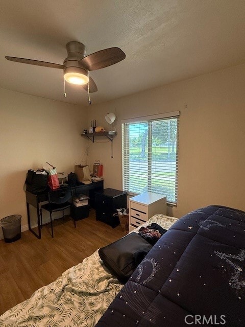 Photo - 14172 Raintree Rd