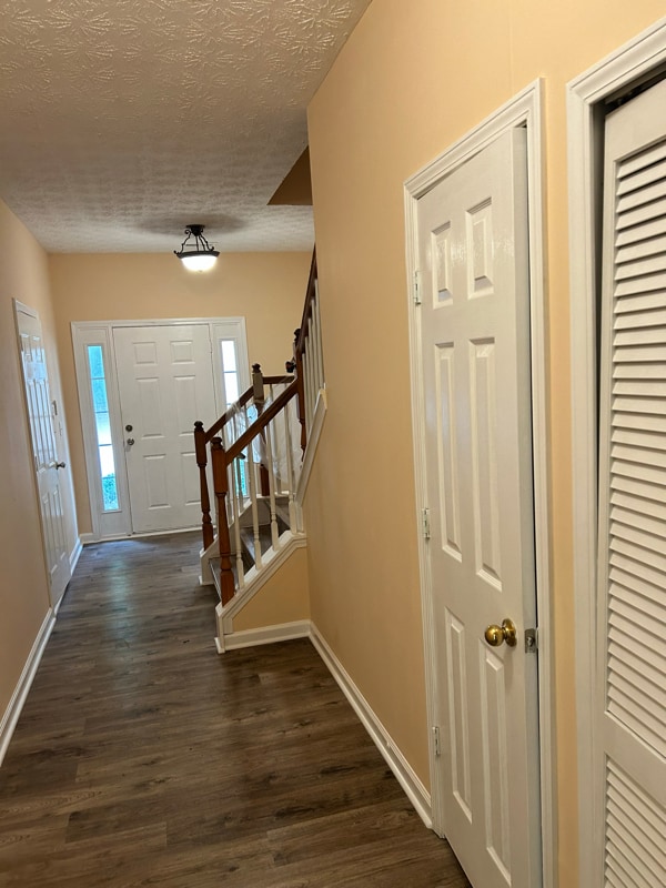 Photo - 810 Celeste Ln