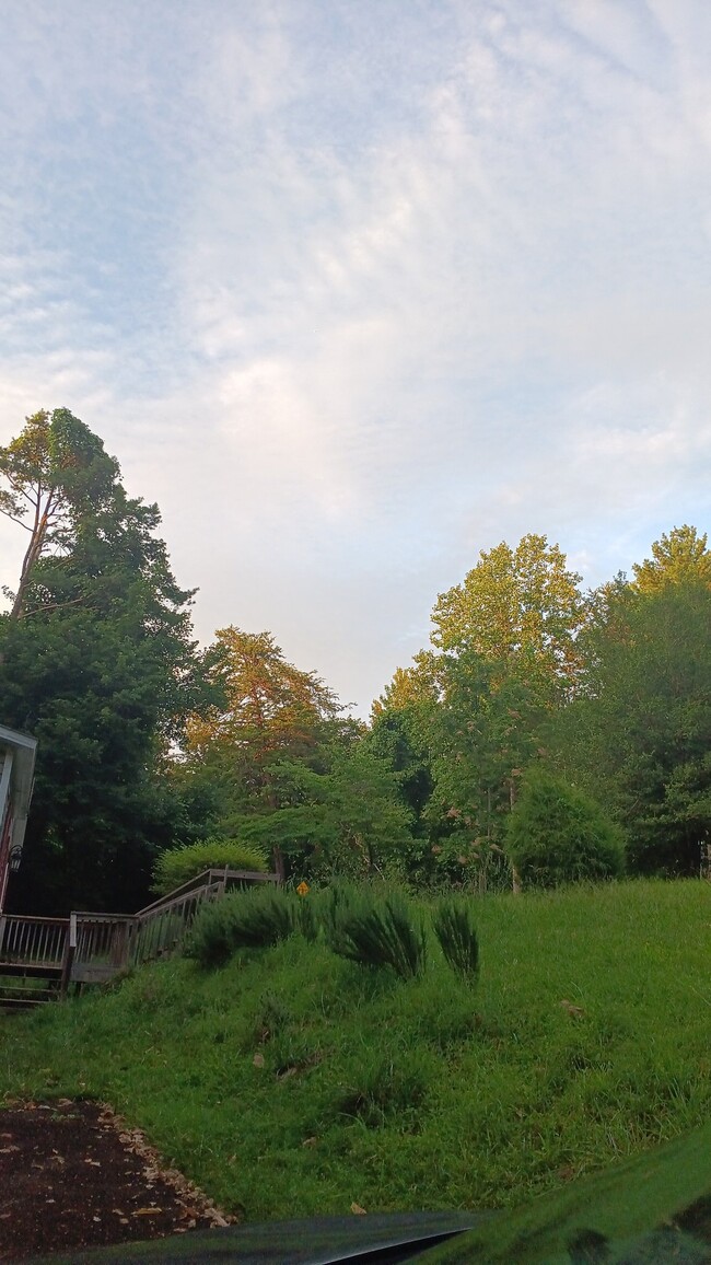 Photo - 284 Kate Rd
