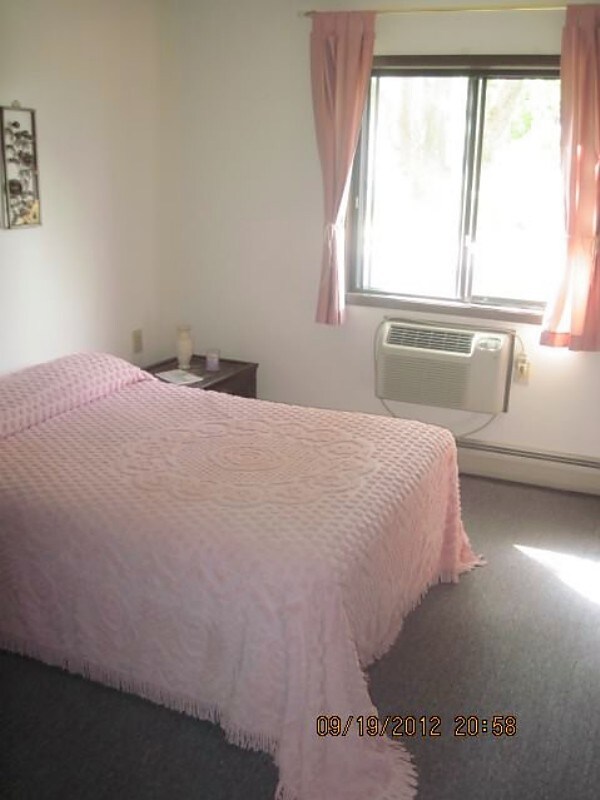 Photo - Prairie Rose