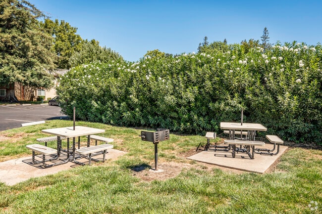 BBQ Area - Acacia Apartments
