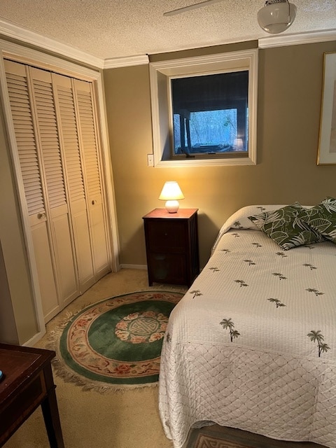 Photo - 21 Birchwood Rd Unit In-law apartment