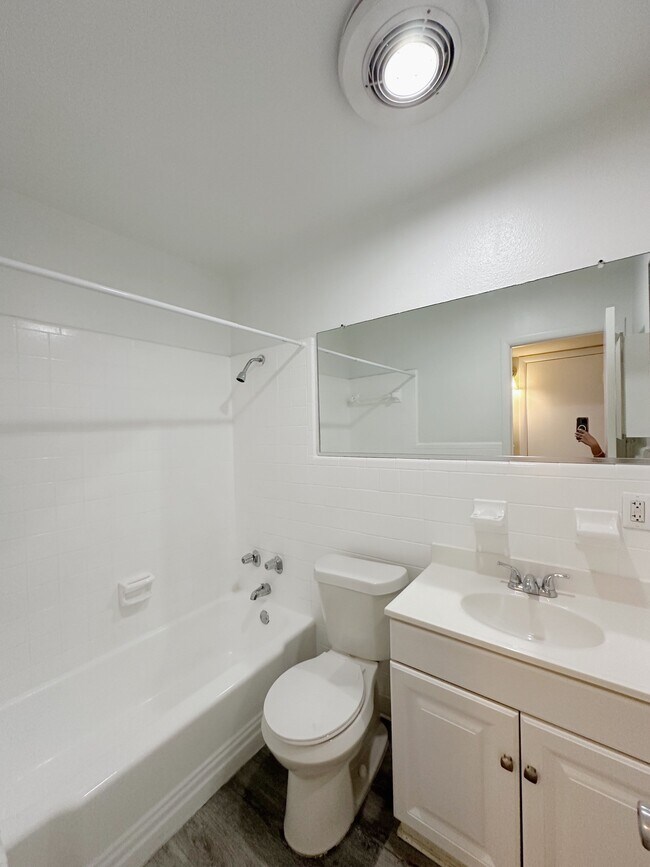 Davis Islands Apartments Tampa, FL