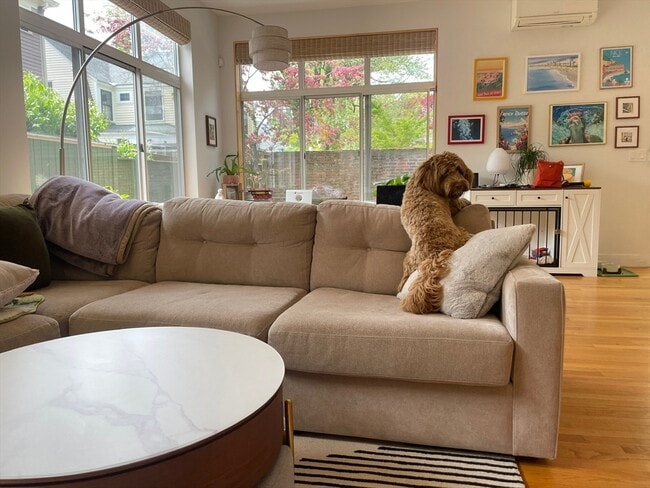 Photo - 39 Dana St Unit 5