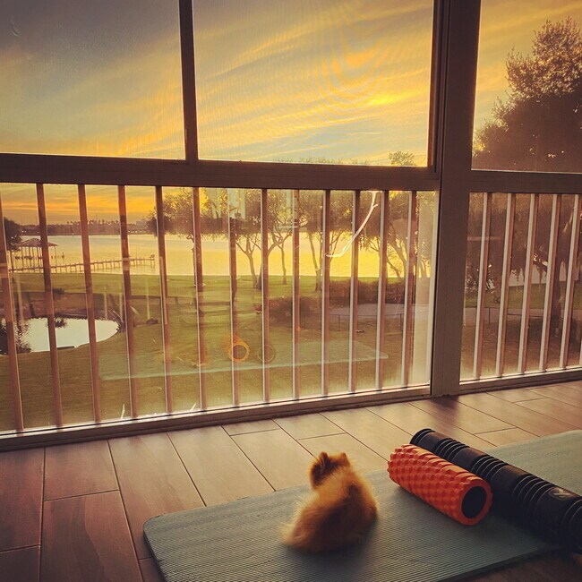 Photo - 343 N Tropical Trl Unidad 306