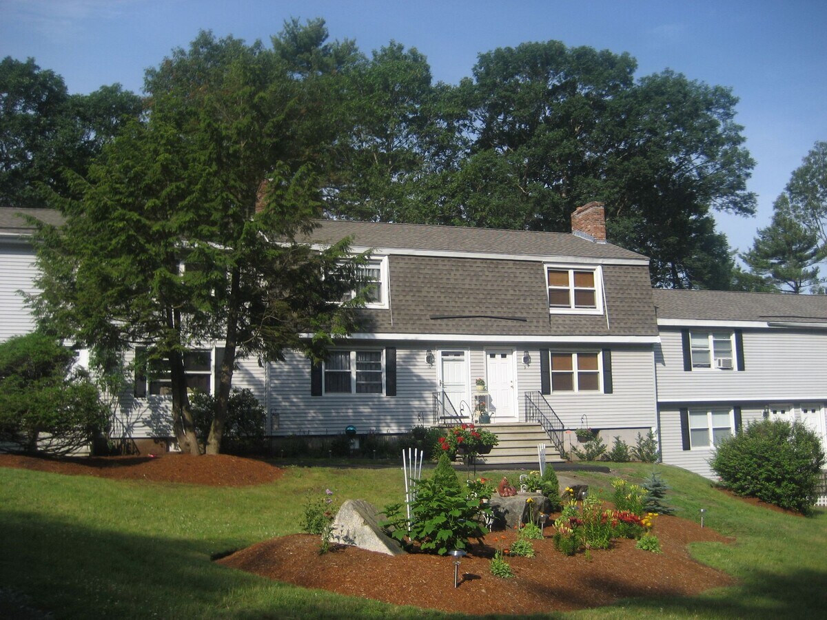 Photo - Boxford Woods