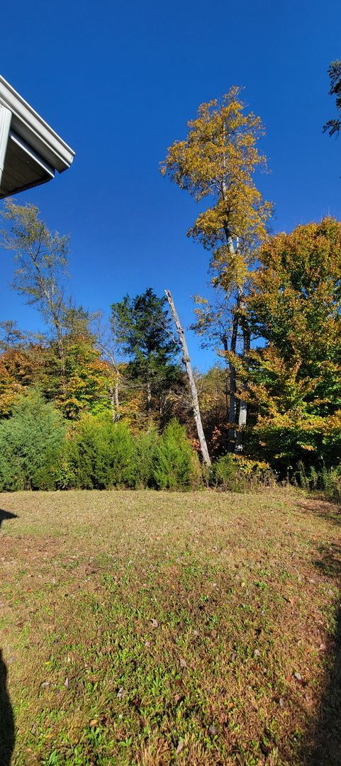 Photo - Ready to Move in