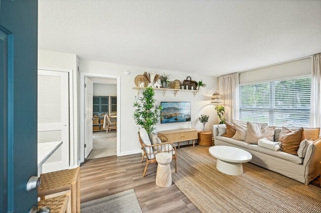 Art Museum Dr-003 - The Landings at San Marco