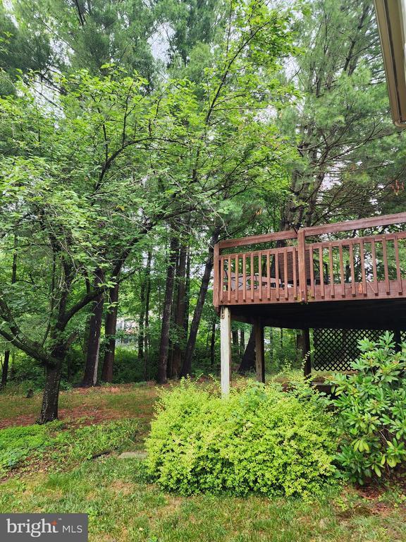 Photo - 2026 Westwood Forest Dr