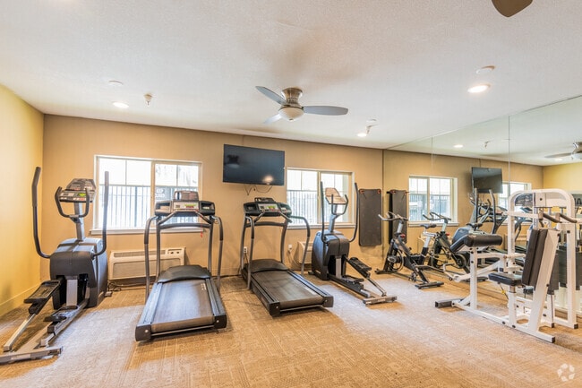 Gimnasio