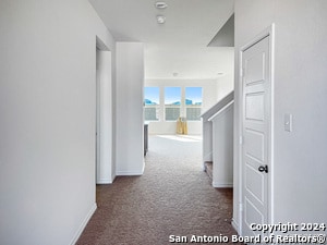 Photo - 14838 House Wren Fall