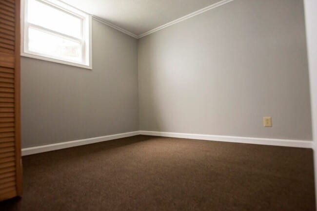 Photo - 19 Byard St