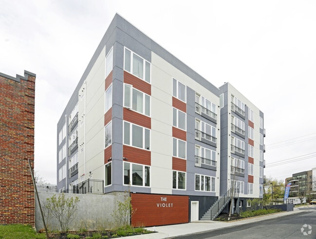 Construction Photo - The Violet Apartments
