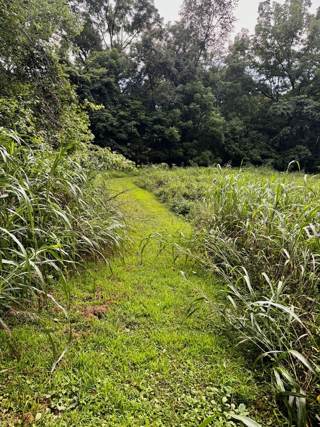 Photo - 4550 E Ooley Ave