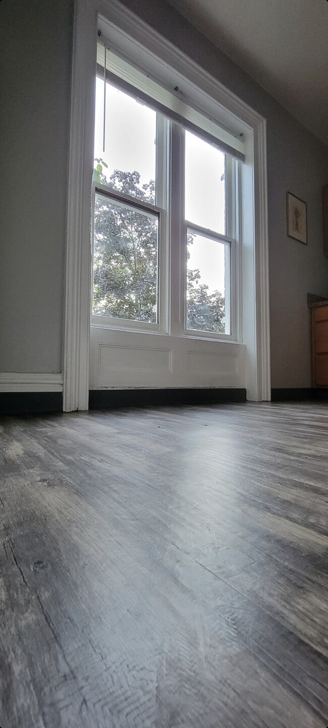 Ventanas de cocina que dan a una calle arbolada. - 176 Montgomery St Unidad 3