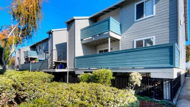 Creekside Apartments Building and Walkways