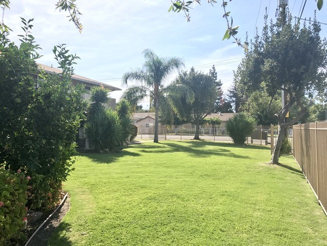 Photo - Olive Tree Apartments