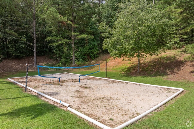 Volleyball Court