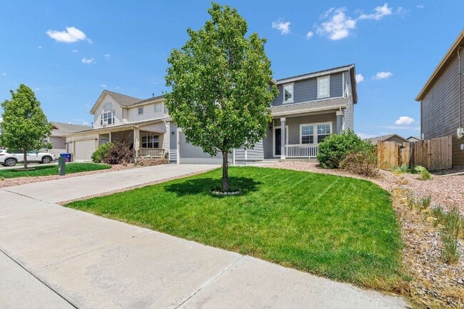 7585 Alpine Daisy Dr