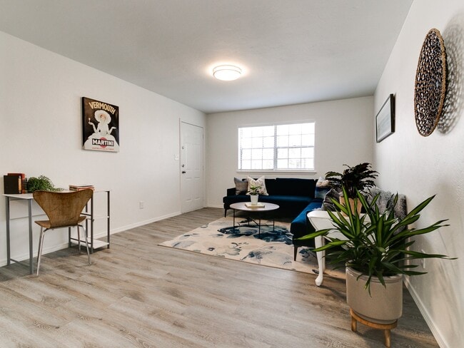 Oasis Apartments at Paseo