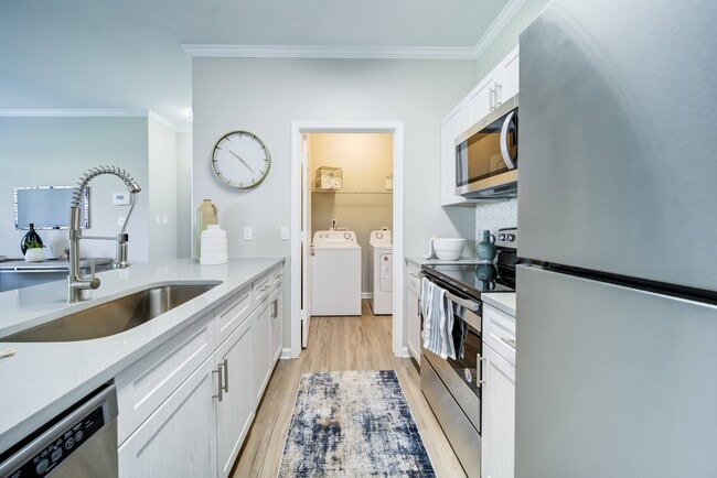 Cocina renovada con electrodomésticos de acero inoxidable - Thornhill Apartments