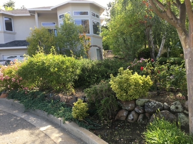 viejo - 165 Ramona Rd Unidad ADU included