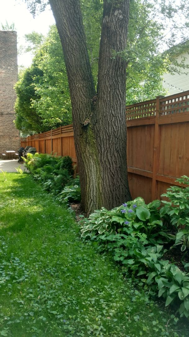 Photo - Sun-drenched Roscoe Village with sunny patio and yard Unidad 3504-2