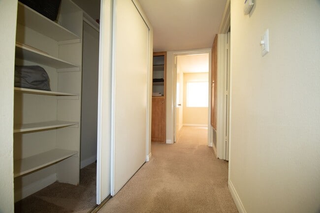 Photo - Gold Coast Apartments