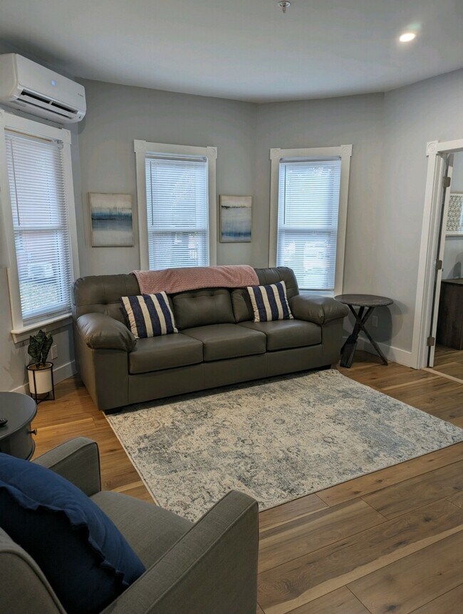 A large comfy couch with pull-out bed for guests - 188 S Champlain St Unit 1A