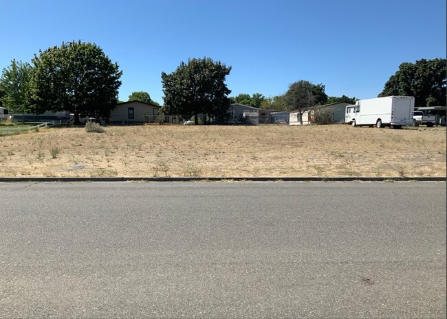 Photo - Harper on Hood