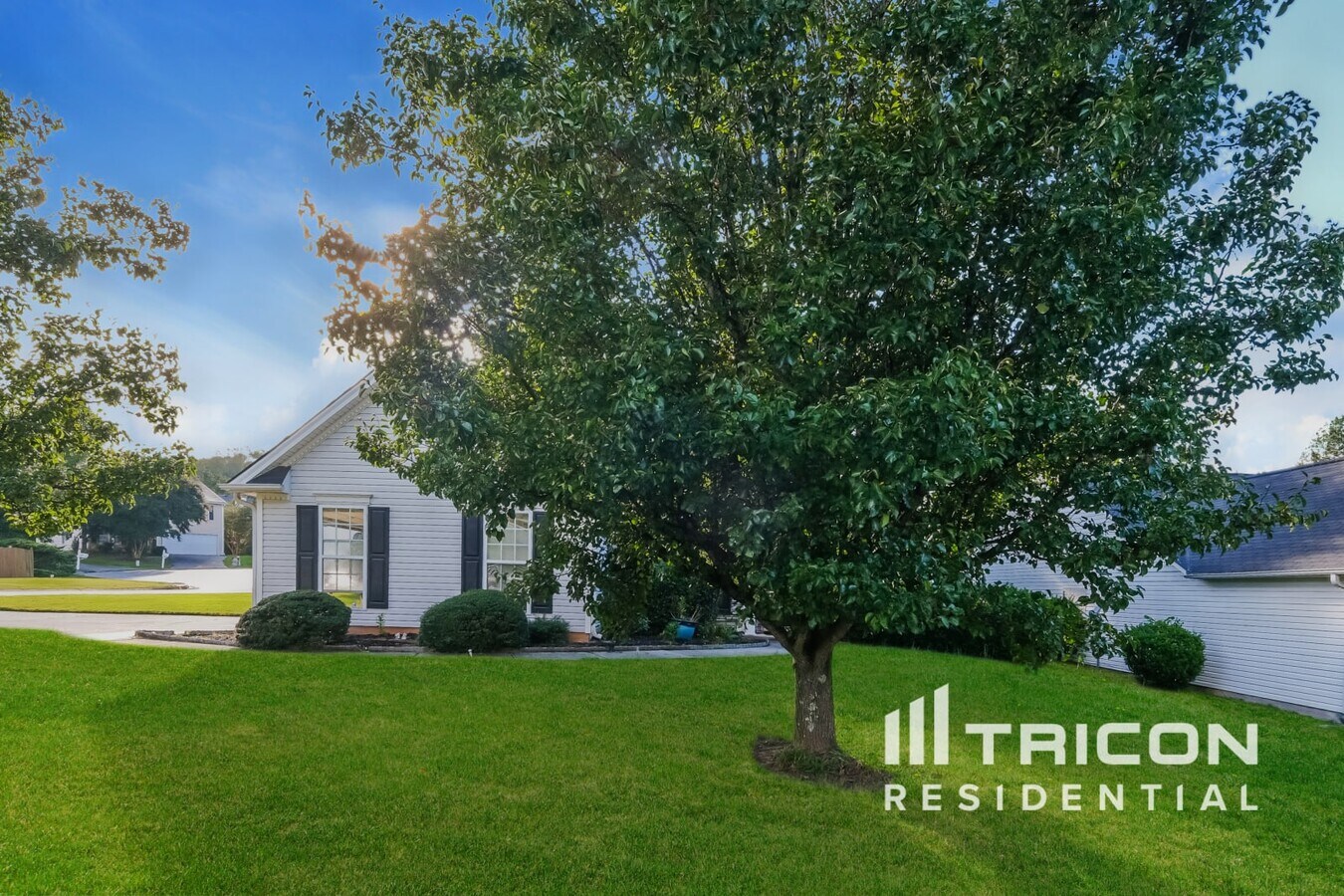 Photo - 16 Waterloo Ct