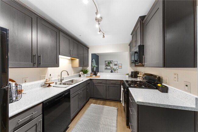 Photo - TGM Bull Run