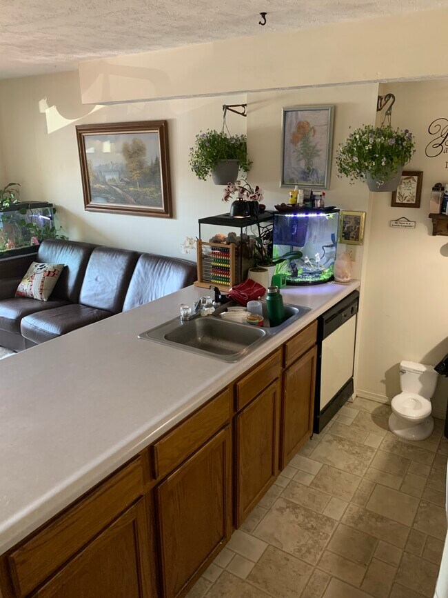 Photo - Campus Edge Apartments